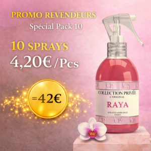 Pack 10 Sprays d'Intérieurs Collection Privée L'Original