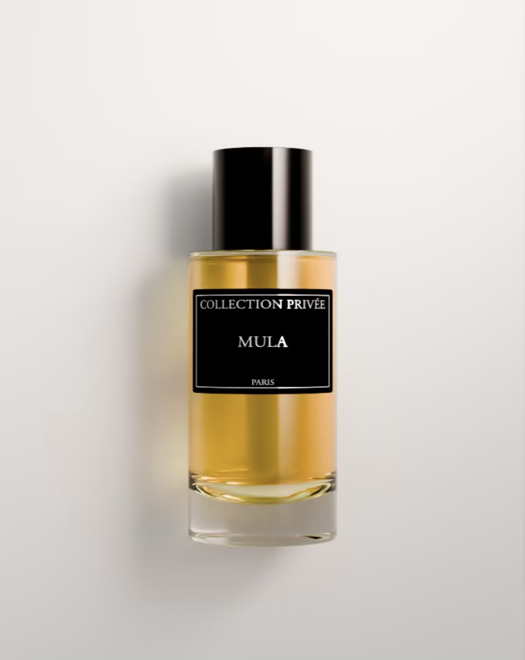 Mula (Mula Mula) Collection Privée Paris – Image 3