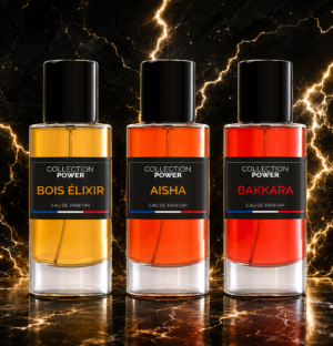 Lot 3 BEST SELLER - Aisha + Bakkara + Bois Élixir - Eau de Parfum - Collection Power – Image 2