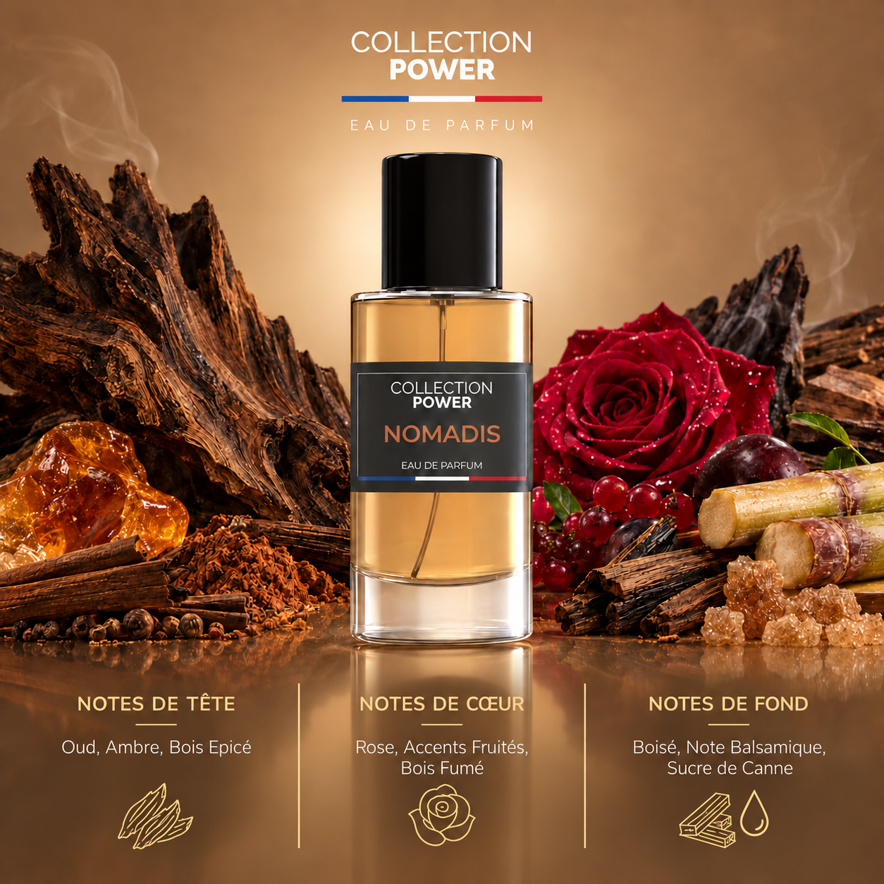 Nomadis - Eau de Parfum - Collection Power – Image 2