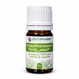 Huile Essentielle Eucalyptus Radiata - 100% Pure & Naturel - Zeithipharm