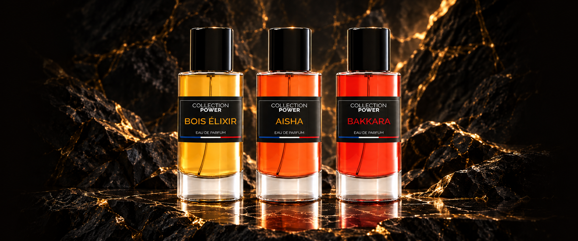 Bois Élixir, Aisha et Bakkara de la Collection Power, présentés sur une roche noire.